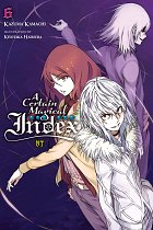 A Certain Magical Index Nt, Vol. 6 light novel