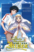 A Certain Magical Index Novel Vol.  2 light novel