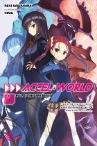 Accel World Novel Vol. 19 light novel
