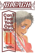 Bleach: Can't Fear Your Own World (Light Novel) Vol.  2 light novel