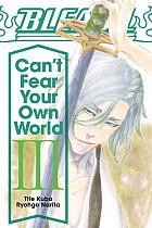 Bleach: Can't Fear Your Own World (Light Novel) Vol.  3 light novel