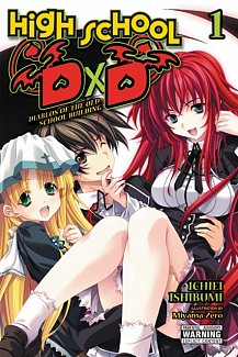 High School DxD Novel Vol.  1