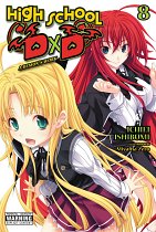 High School DXD, Vol. 8 (Light Novel): A Demon's Work light novel
