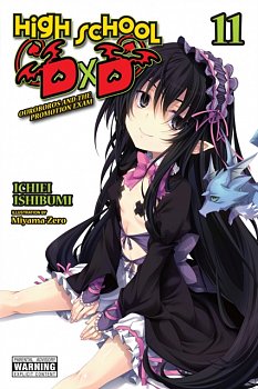 High School DXD, Vol. 11 (Light Novel) - MangaShop.ro