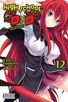 High School DXD, Vol. 12 (Light Novel) light novel