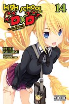 High School DXD, Vol. 14 light novel