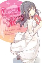 Rascal Does Not Dream of a Dreaming Girl (Light Novel) light novel