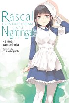 Rascal Does Not Dream of a Nightingale (Light Novel) light novel