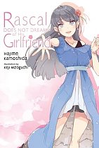 Rascal Does Not Dream of His Girlfriend light novel