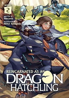 Reincarnated as a Dragon Hatchling (Light Novel) Vol.  2