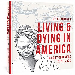 Living & Dying in America: A Daily Chronicle 2020-2022 (Hardcover) - MangaShop.ro