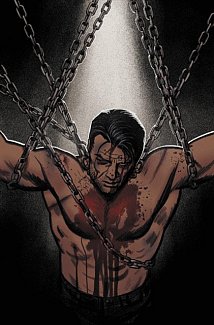 The Punisher Vol. 2