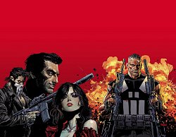 Marvel Knights: Punisher comics