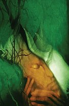 Sandman Vol. 3: Dream Country 30th Anniversary Edition comics
