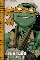 Teenage Mutant Ninja Turtles: The IDW Collection Volume 7 comics