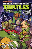 Teenage Mutant Ninja Turtles: The Booyakasha Books, Vol. 1 comics