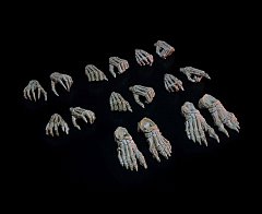 Mythic Legions: Necronominus Action Figure Accessory Skeletons of Necronominus Hands/Feet Pack