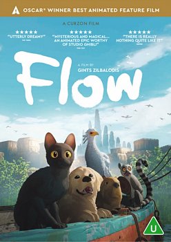 Flow 2024 DVD - MangaShop.ro