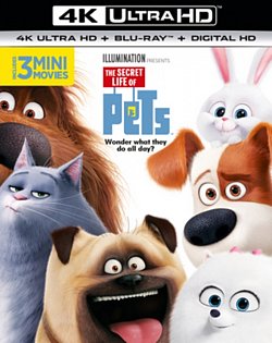 The Secret Life of Pets 2016 Blu-ray / 4K Ultra HD + Blu-ray + Digital Download (Red Tag) - MangaShop.ro