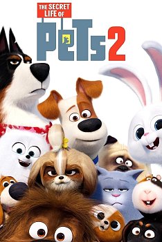 The Secret Life of Pets 2 2019 DVD - MangaShop.ro