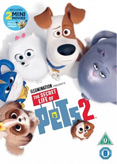 The Secret Life of Pets 2 2019 DVD