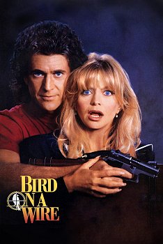 Bird On A Wire DVD - MangaShop.ro