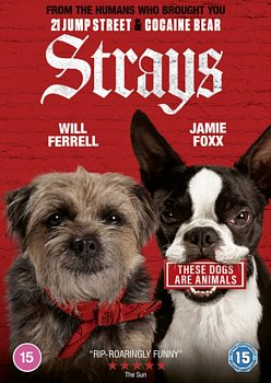 Strays 2023 DVD - MangaShop.ro