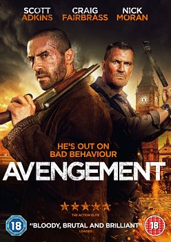 Avengement 2019 DVD - MangaShop.ro