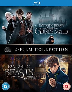 Fantastic Beasts: 2-film Collection 2018 Blu-ray / Box Set