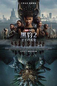 Black Panther: Wakanda Forever 2022 DVD - MangaShop.ro
