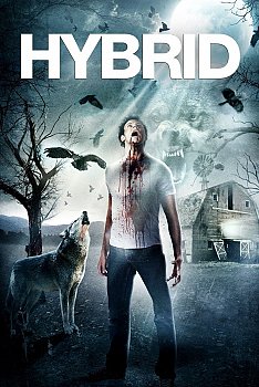 Hybrid DVD - MangaShop.ro