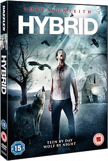 Hybrid DVD
