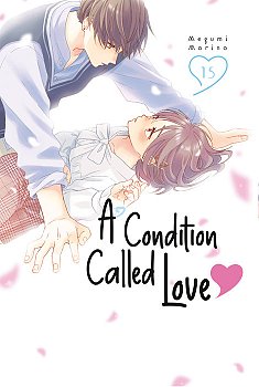 A Condition Called Love 15 manga