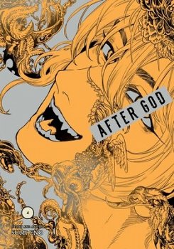 After God, Vol. 4 - MangaShop.ro