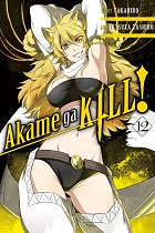 Akame Ga Kill! Vol. 12 manga
