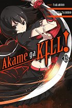 Akame Ga Kill! Vol. 13 manga
