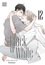 Black or White, Vol. 12 manga