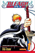 Bleach Vol.  1 manga