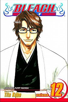 Bleach Vol. 12