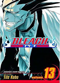 Bleach Vol. 13