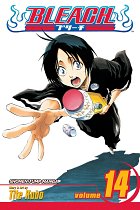Bleach Vol. 14 manga