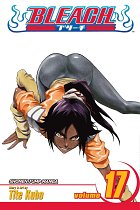 Bleach Vol. 17 manga