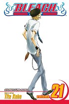 Bleach Vol. 21 manga