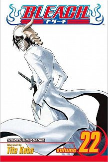 Bleach Vol. 22