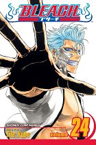 Bleach Vol. 24 manga