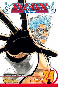 Bleach Vol. 24 - MangaShop.ro