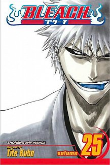 Bleach Vol. 25