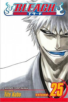 Bleach Vol. 25 - MangaShop.ro