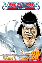 Bleach Vol. 28 manga
