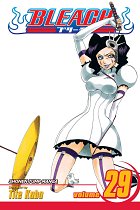 Bleach Vol. 29 manga